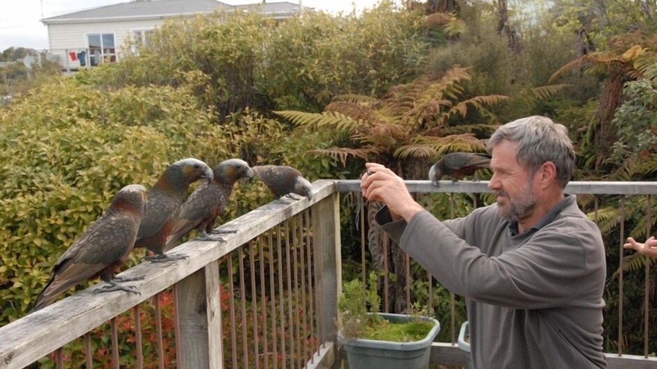 Photo of Others in Oban