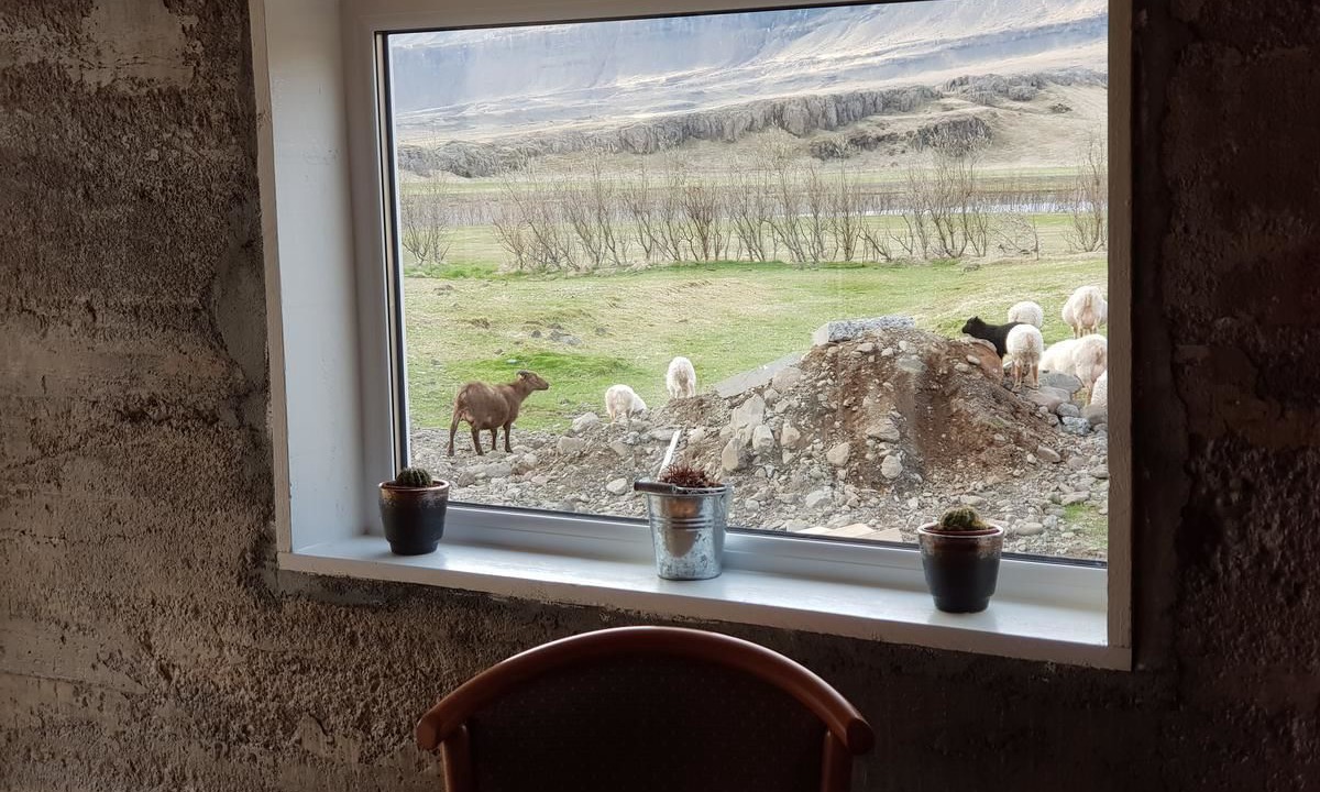 Photo of Others in Djupivogur