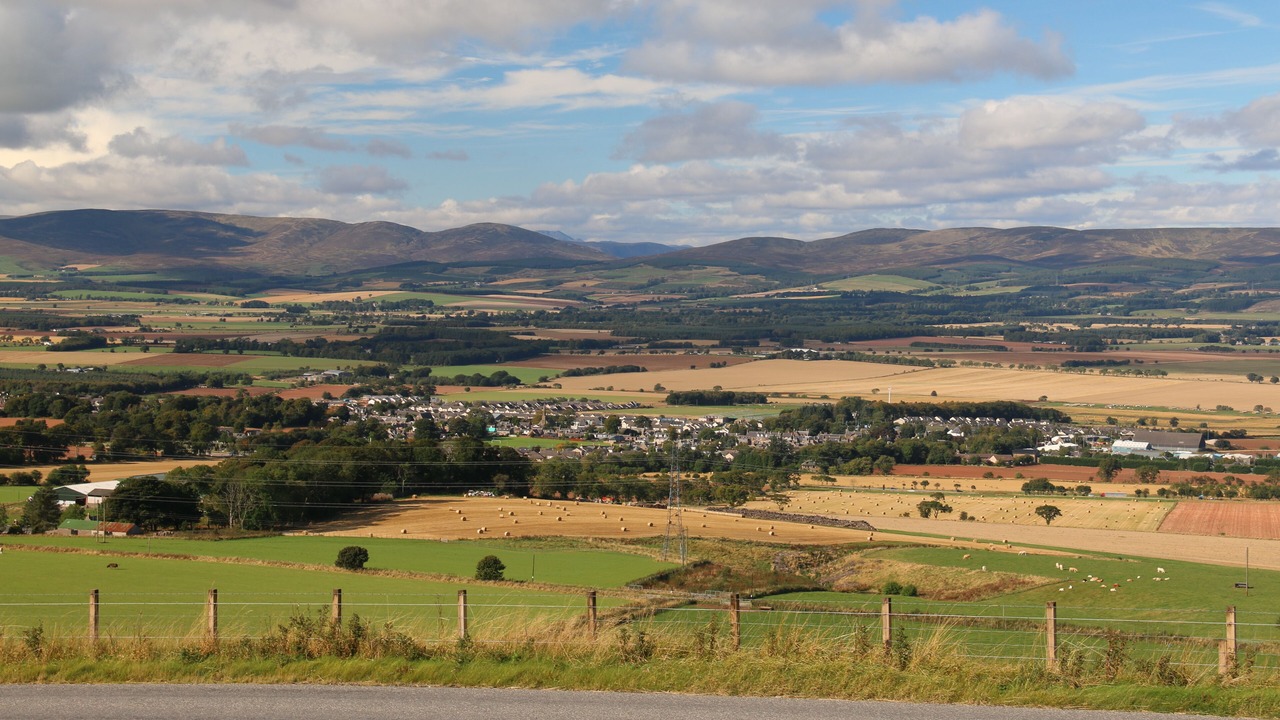 Photo of Others in Laurencekirk