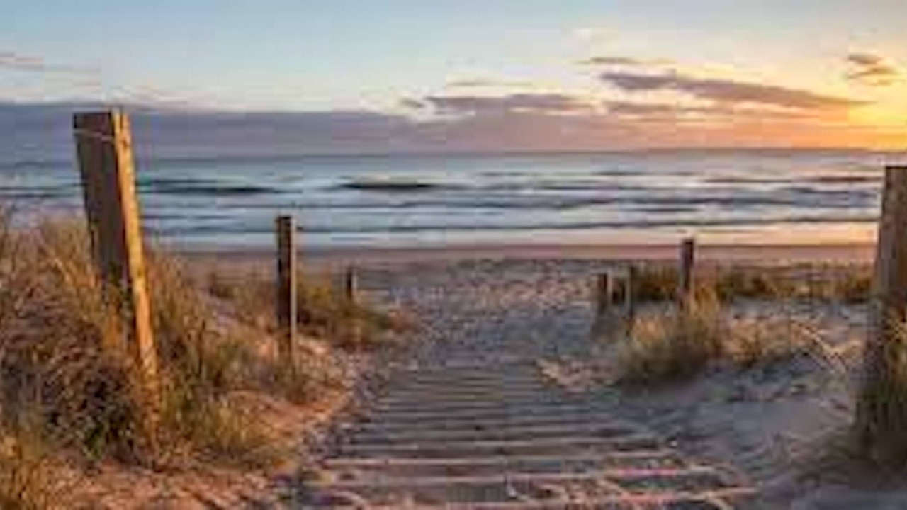 Photo of Others in Papamoa Beach