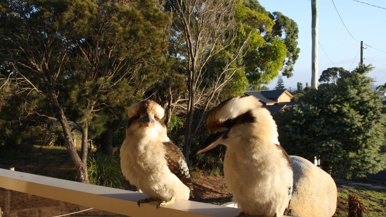 Photo of Others in Binalong Bay