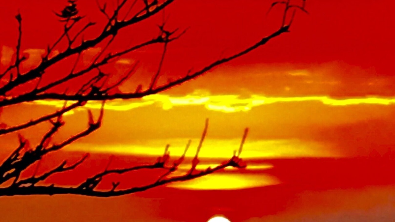 Photo of Outdoor in Roble