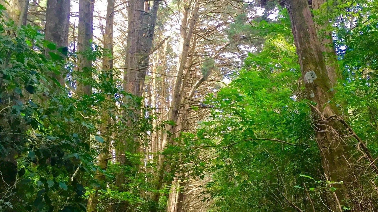 Photo of Outdoor in Roble