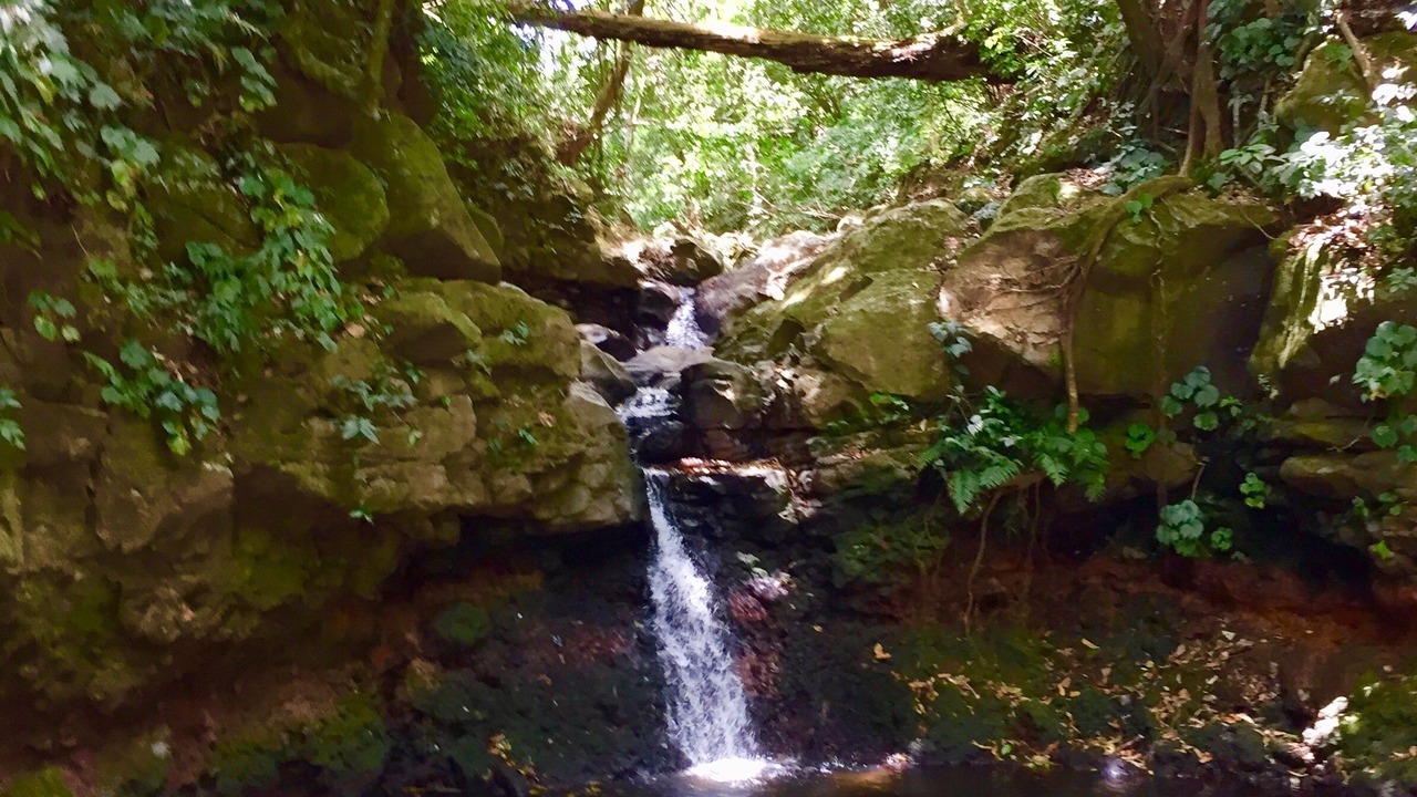 Photo of Outdoor in Roble