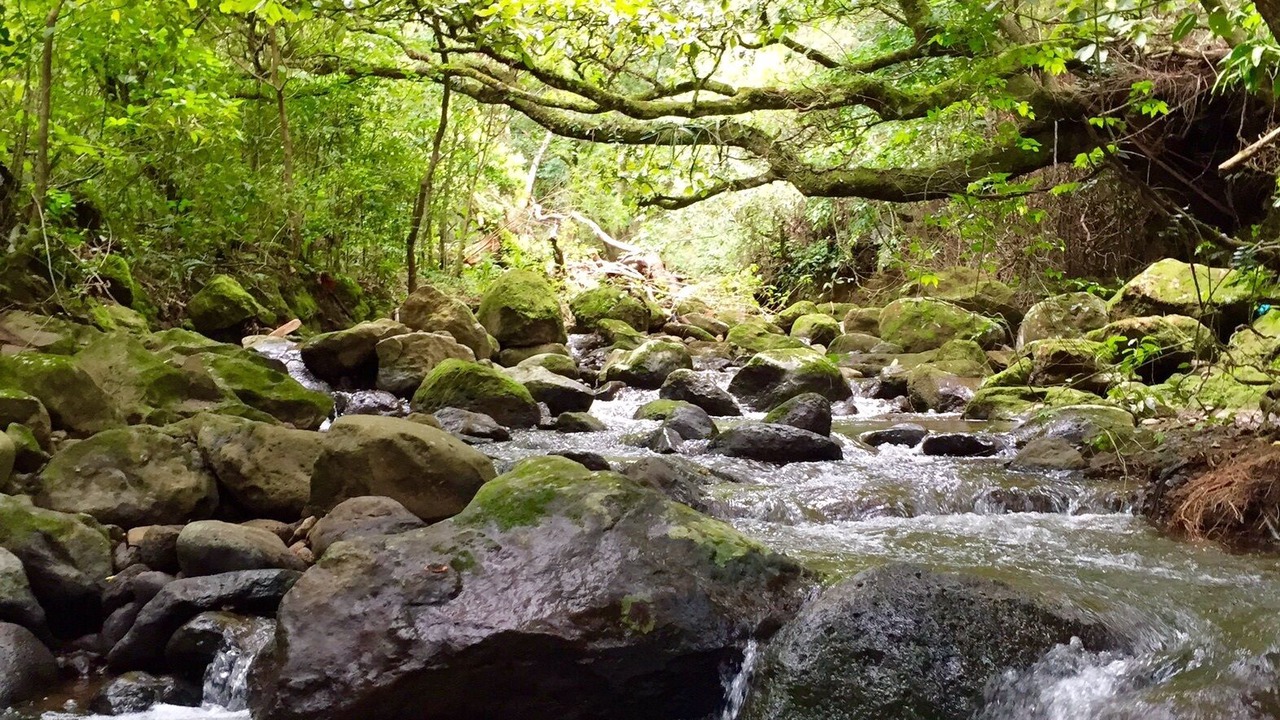 Photo of Outdoor in Roble