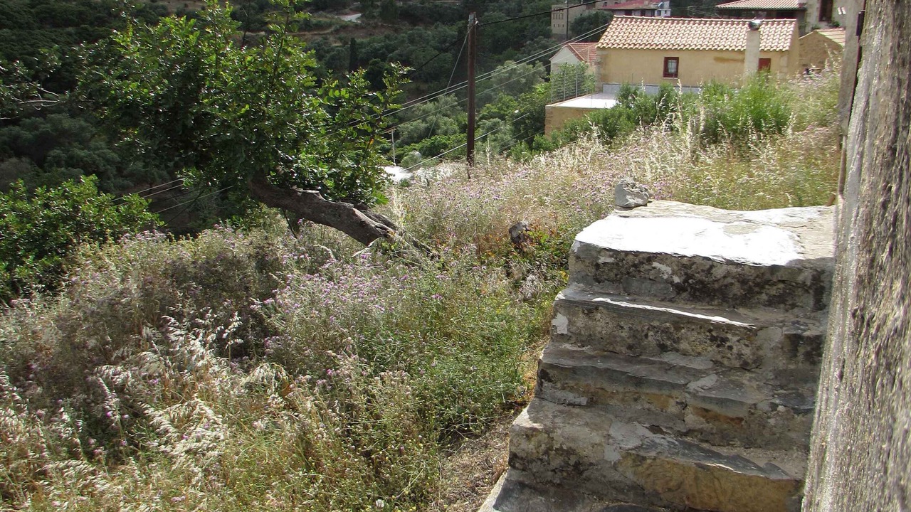 Photo of Outdoor in Milia