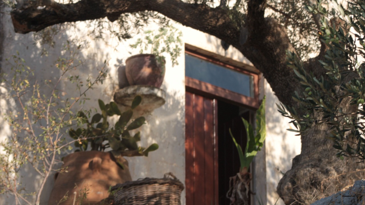 Photo of Outdoor in Milia