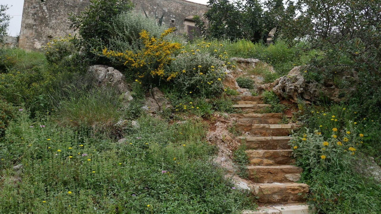 Photo of Outdoor in Milia