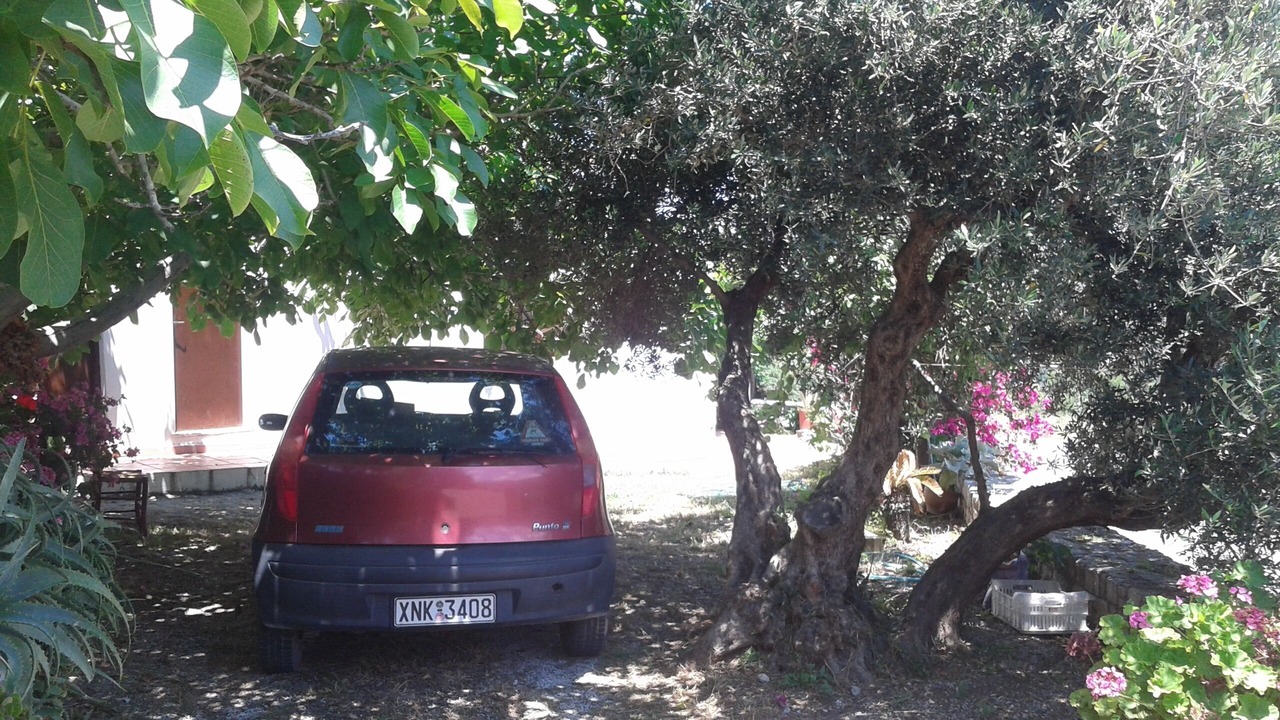 Photo of Outdoor in Milia
