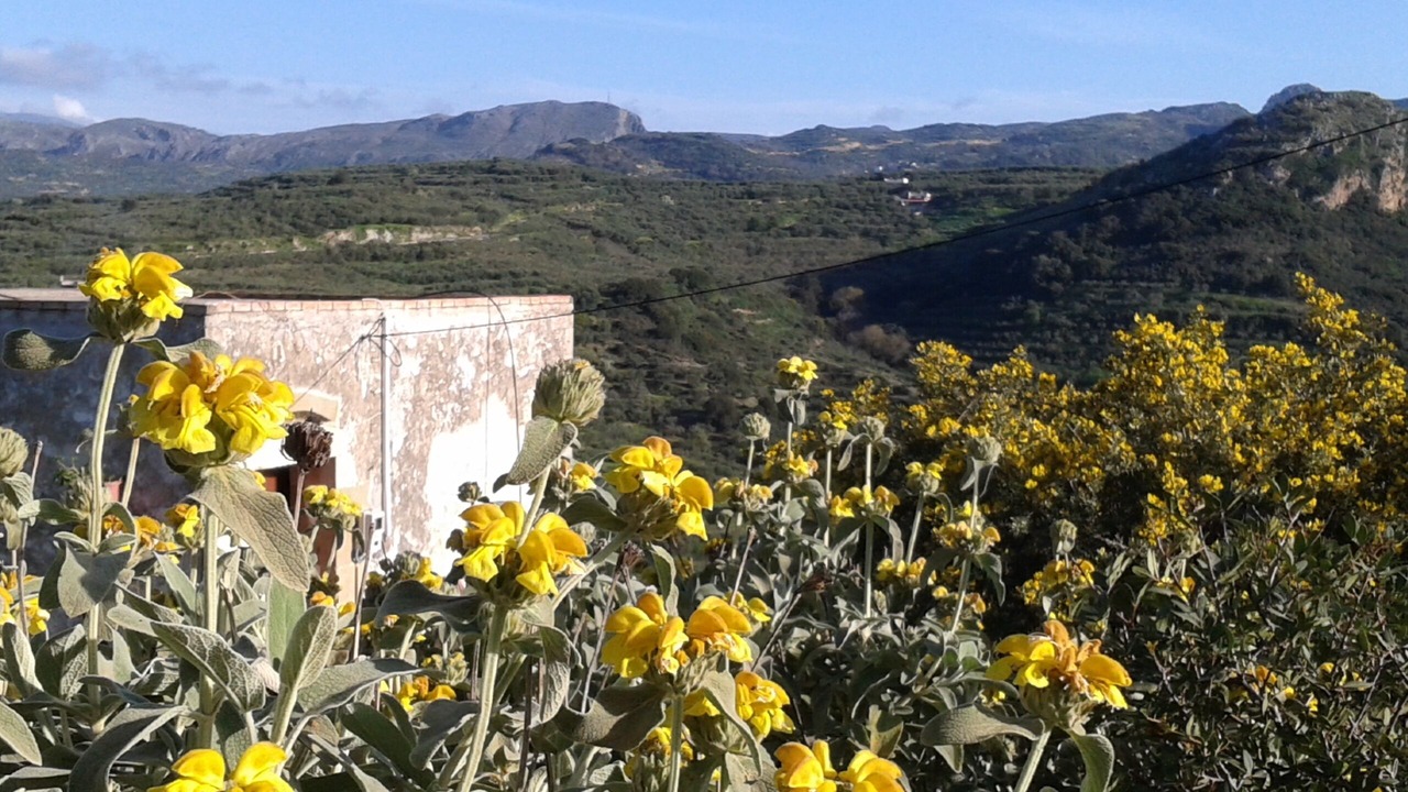 Photo of Outdoor in Milia