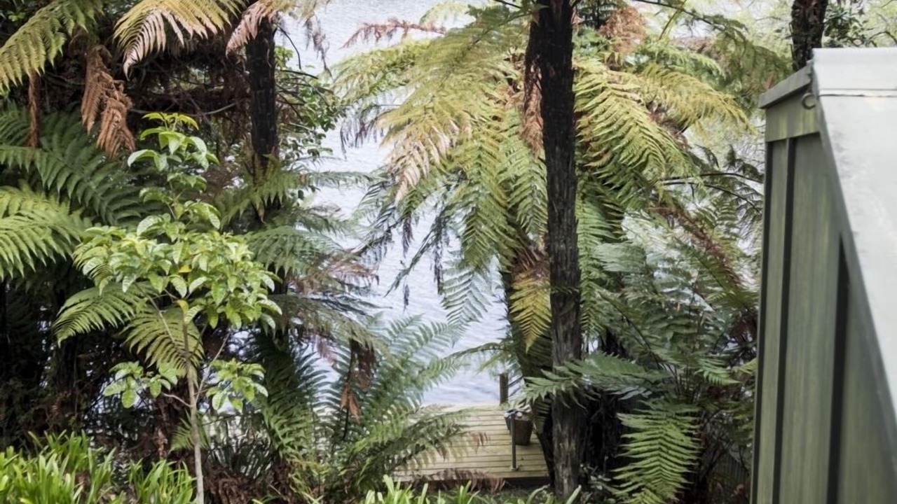 Photo of Outdoor in Okere Falls