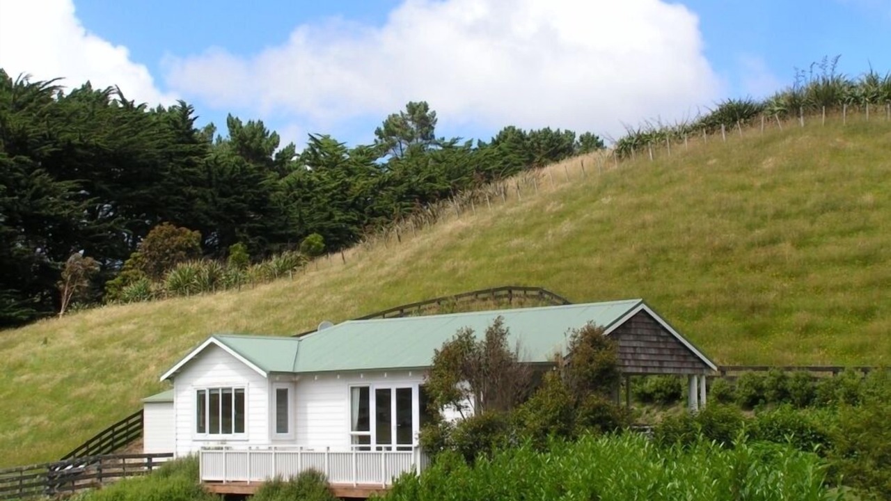Photo of Others in Tawa