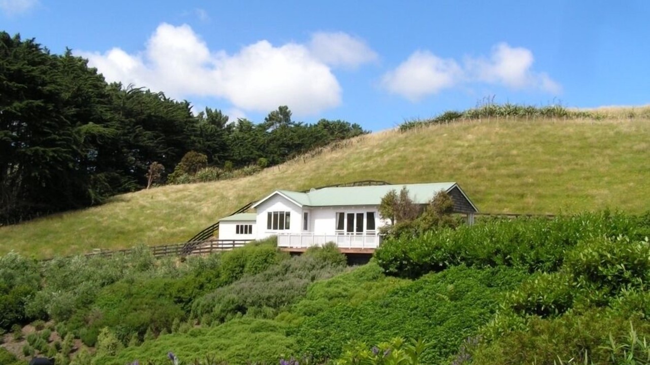 Photo of Others in Tawa