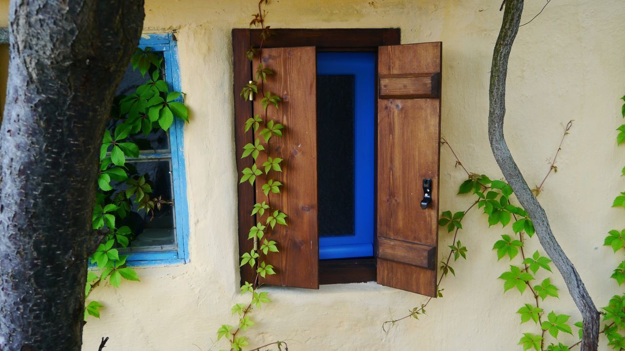 Photo of Others in Alonissos