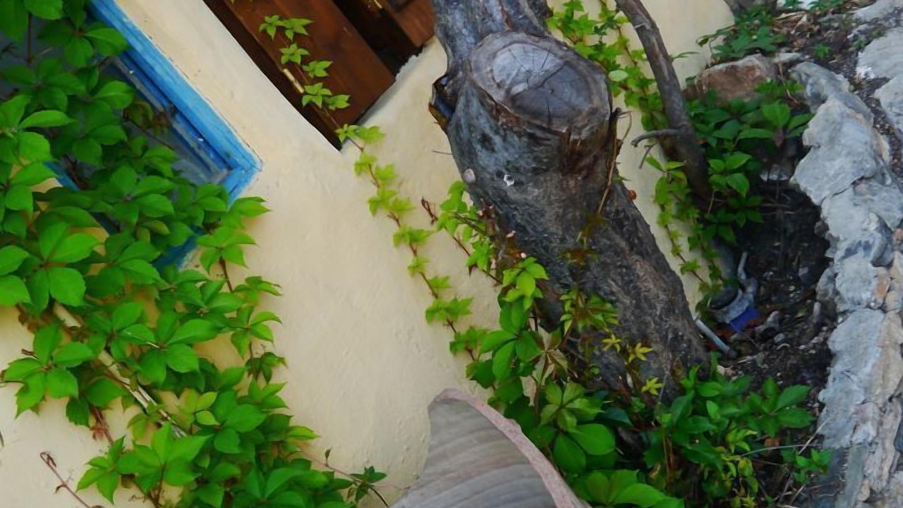 Photo of Outdoor in Alonissos