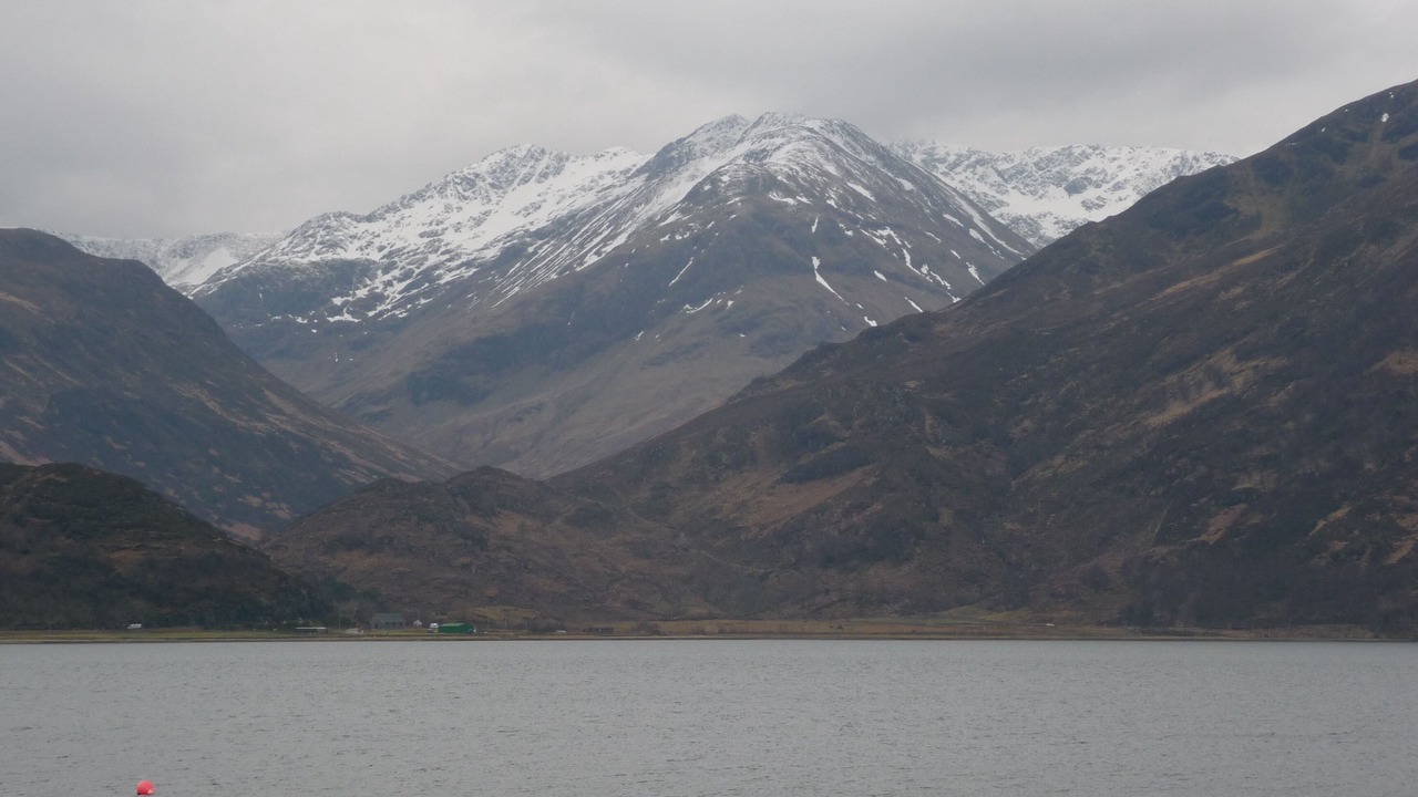 Photo of Others in Kyle