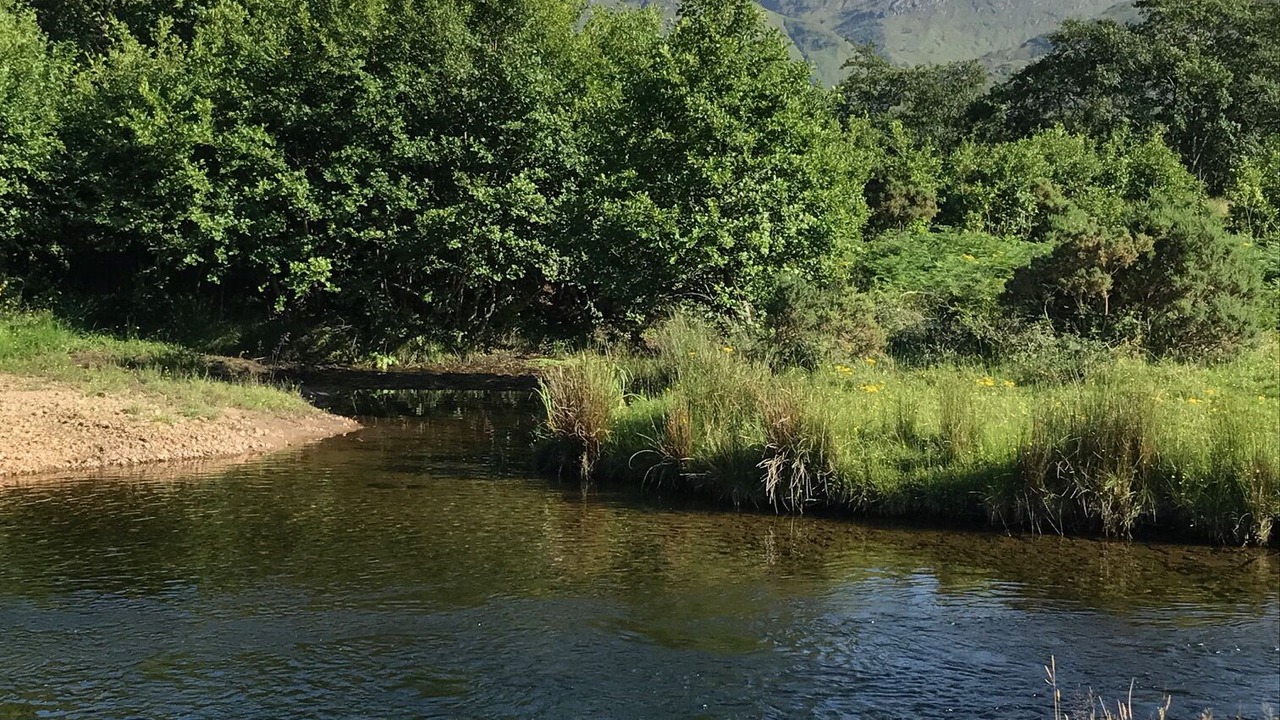 Photo of Others in Kyle