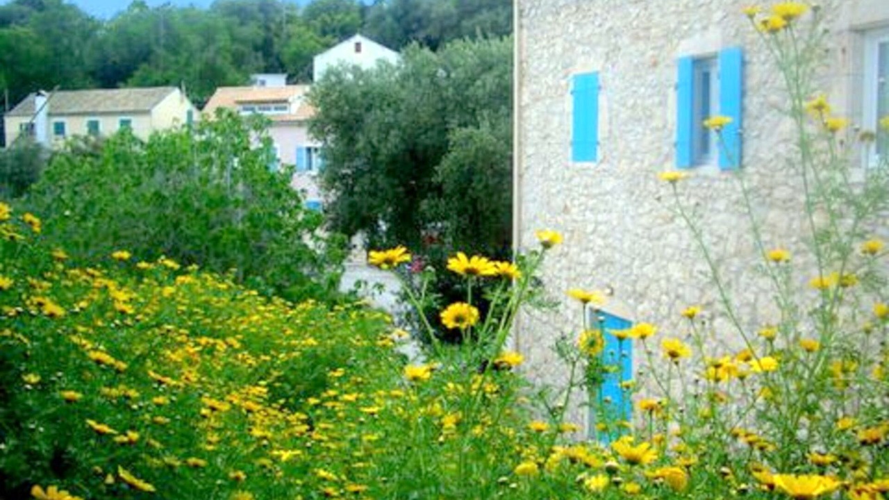 Photo of Outdoor in Tselendata