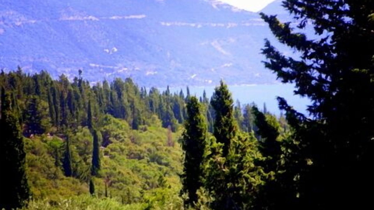 Photo of Others in Tselendata