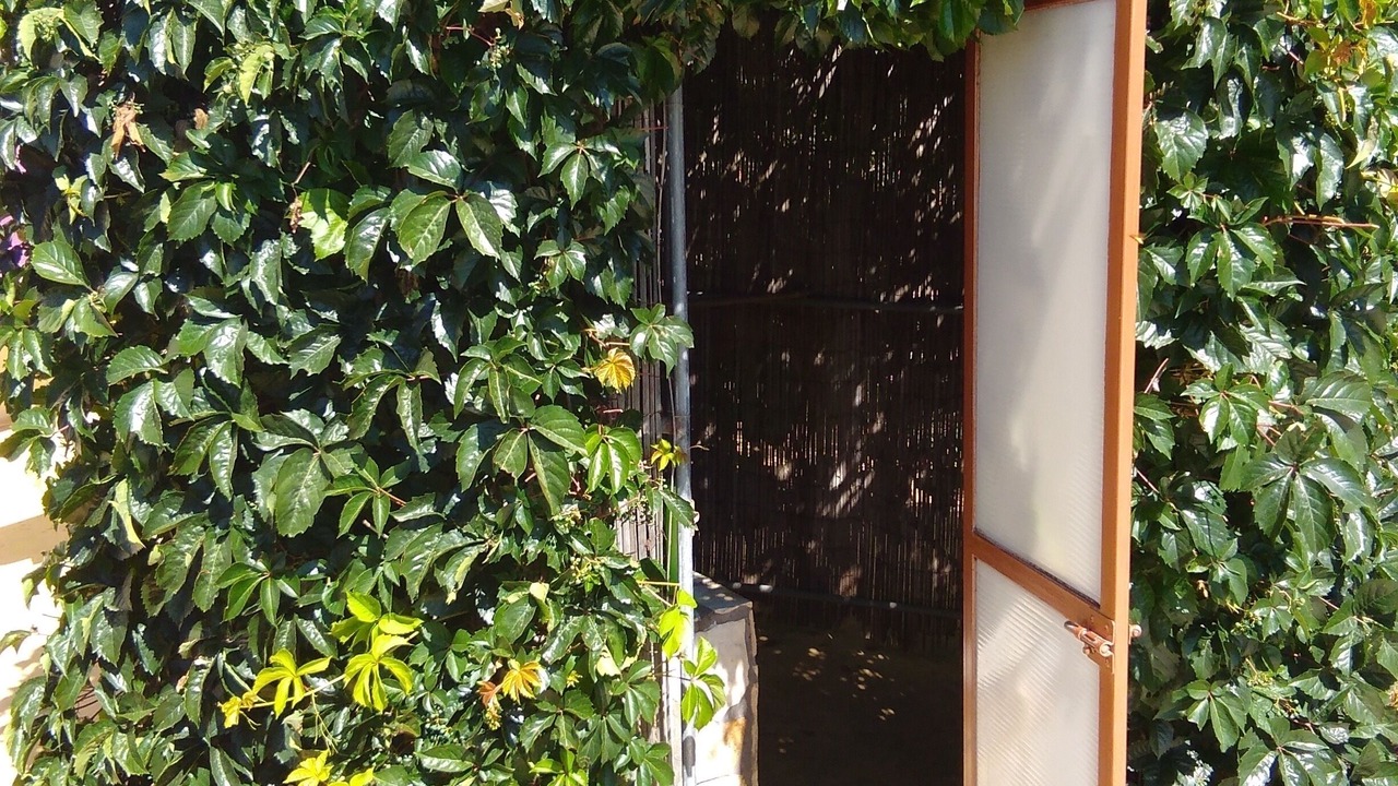 Photo of Outdoor in Messini
