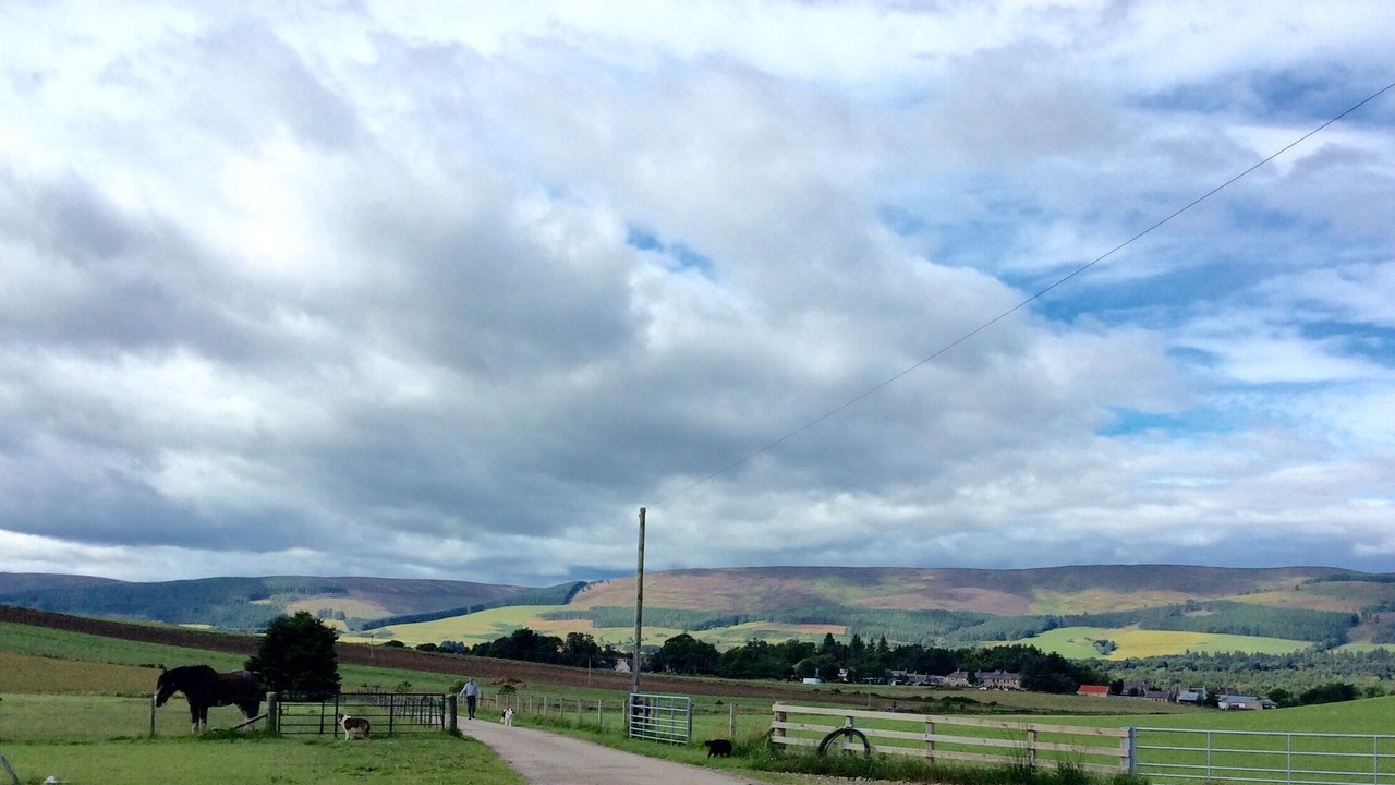 Photo of Others in Huntly