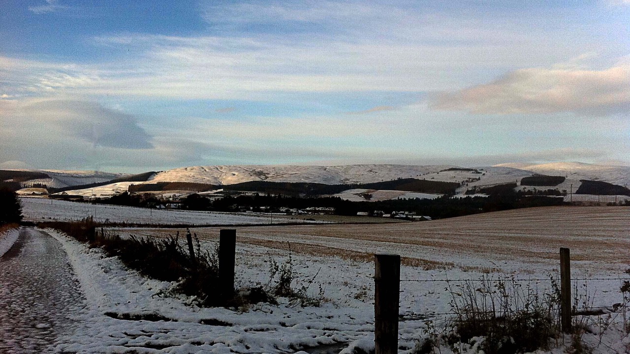Photo of Others in Huntly