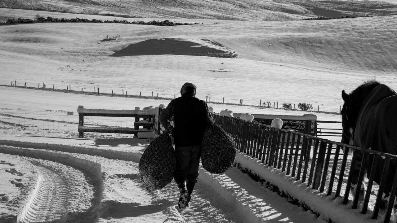 Photo of Others in Huntly