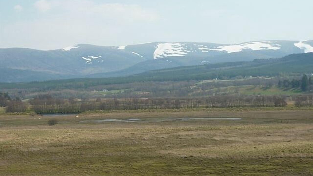 Photo of Others in Kingussie