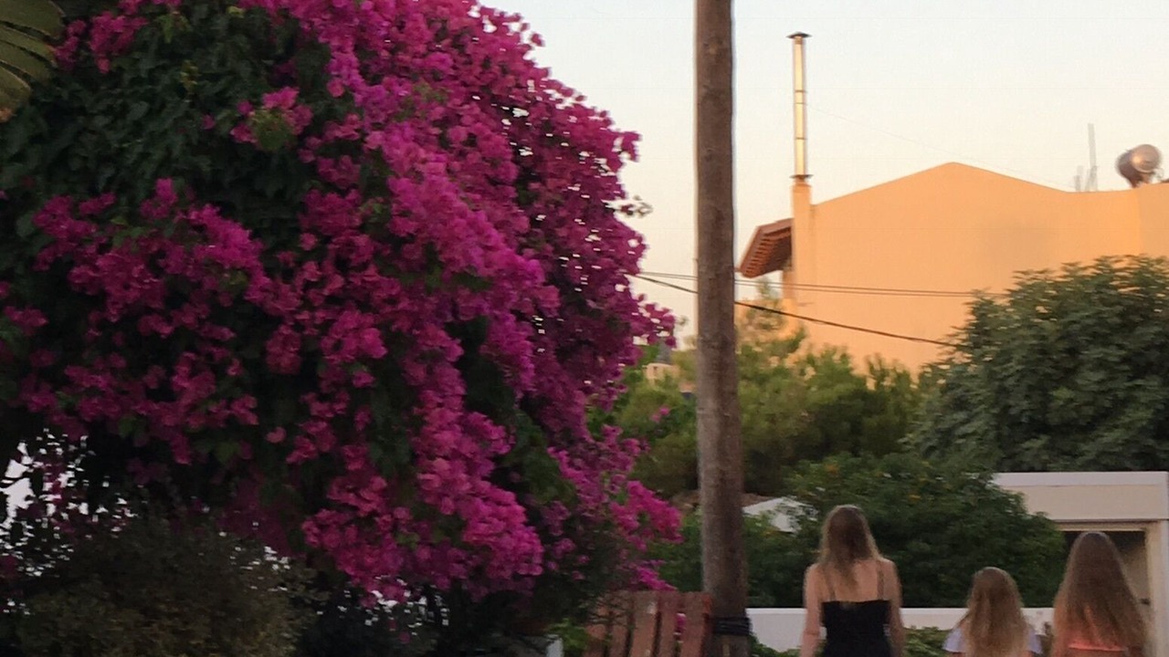 Photo of Outdoor in Panormos