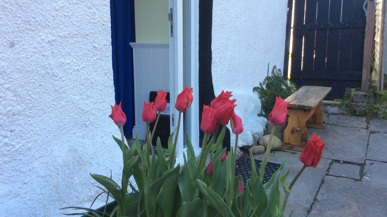 Photo of Outdoor in Avoch