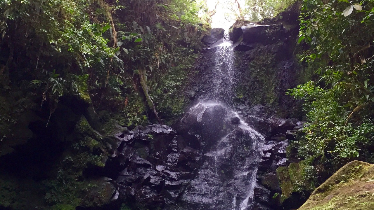 Photo of Outdoor in Roble