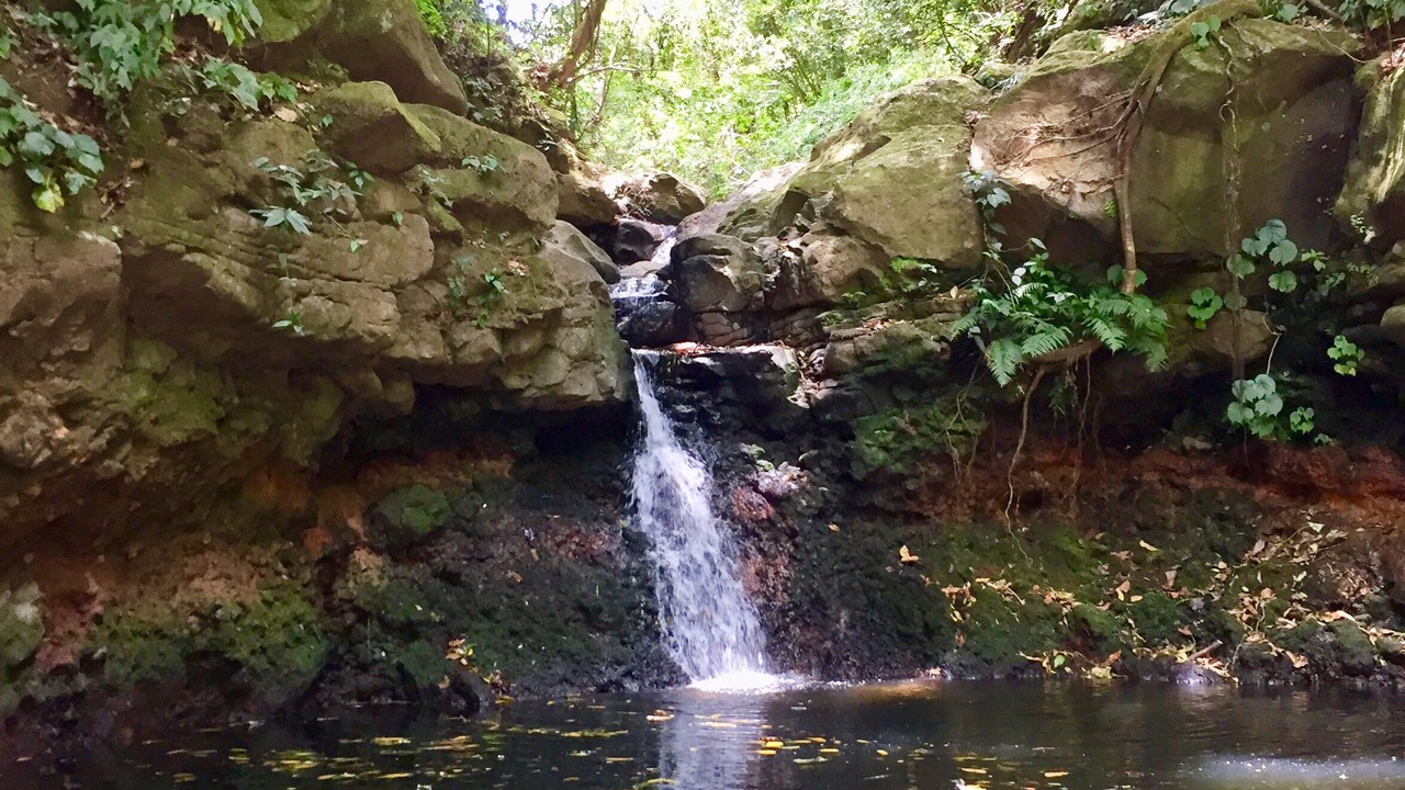 Photo of Outdoor in Roble