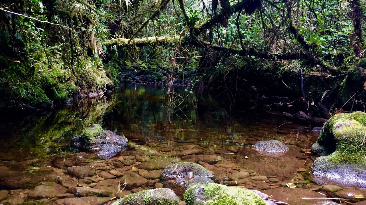 Photo of Outdoor in Roble