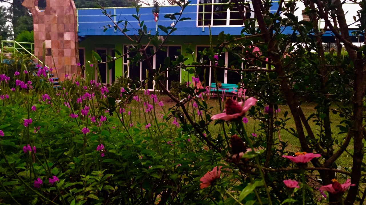 Photo of Outdoor in Roble