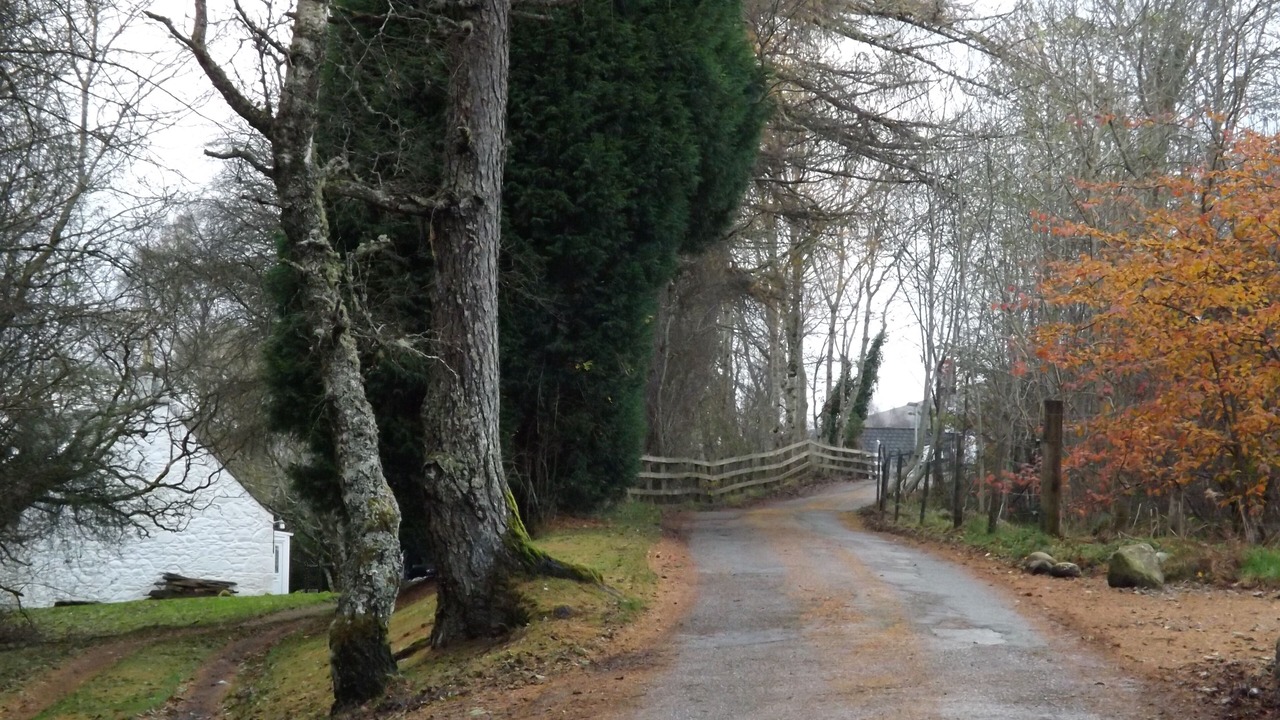 Photo of Others in Roybridge