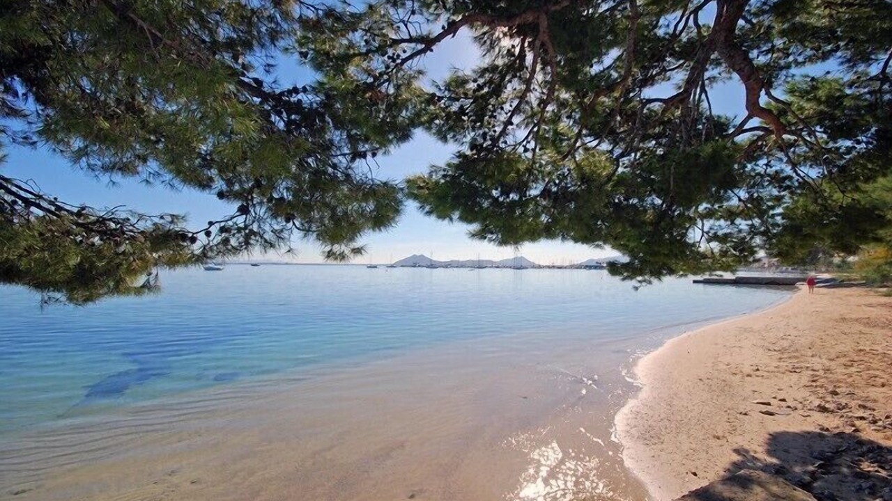 Photo of Others in Puerto de Pollensa