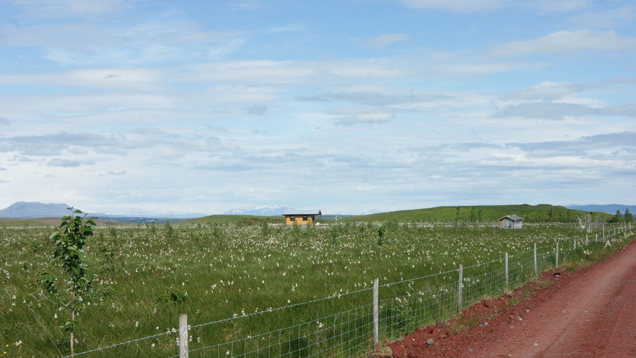 Photo of Others in Selfoss