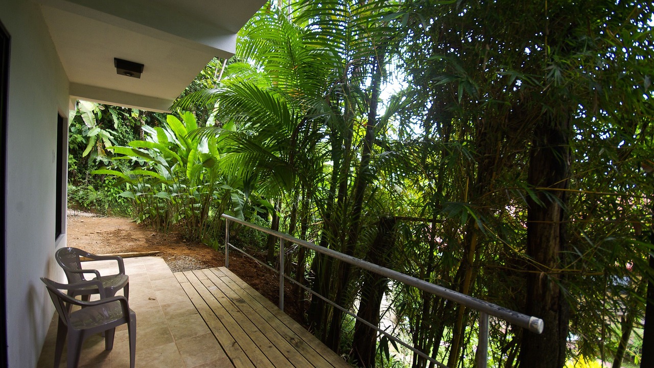 Photo of Patio Balcony in Dominical