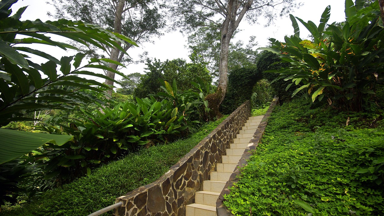 Photo of Outdoor in Dominical
