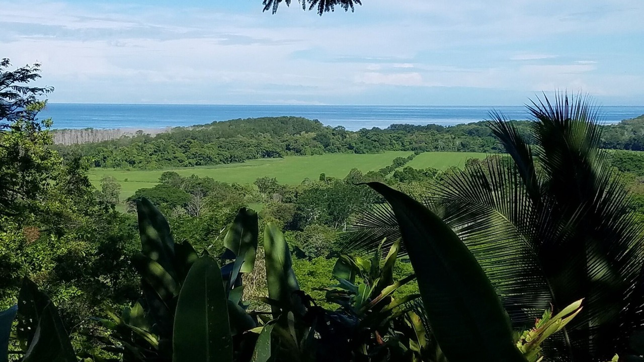 Photo of Others in Dominical