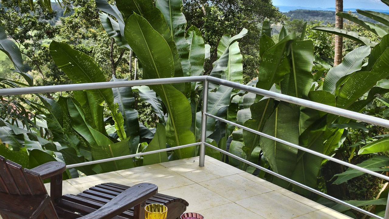 Photo of Patio Balcony in Dominical