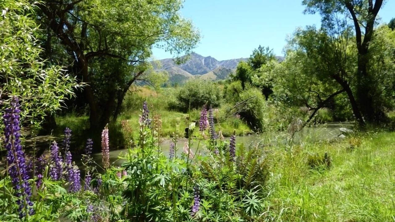 Photo of Others in Arrowtown