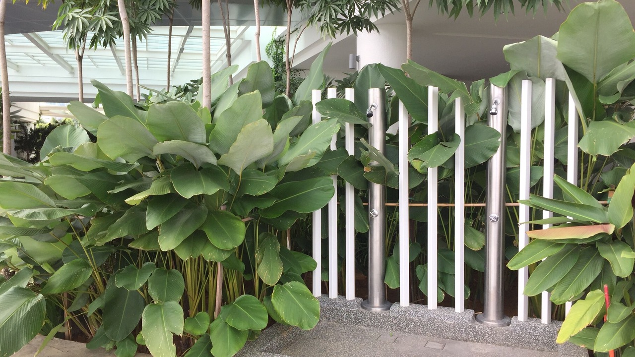 Photo of Outdoor in Pengkalan Tentera Udara Diraja Malaysia