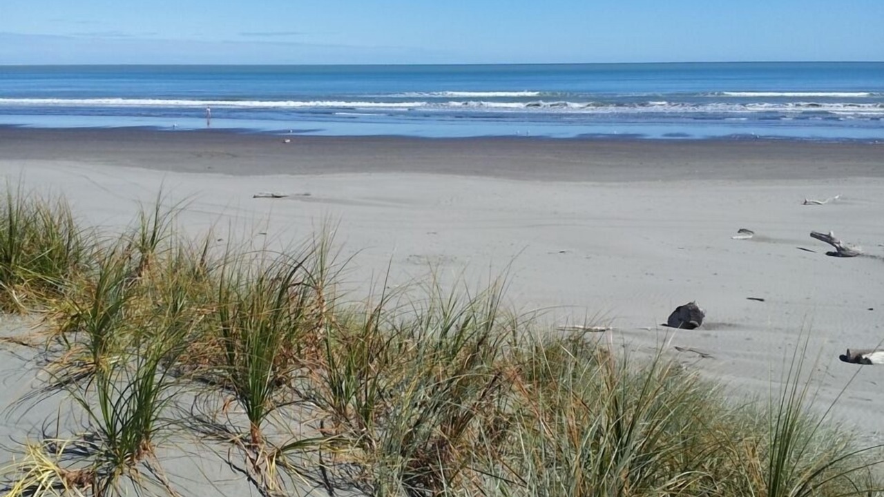 Photo of Others in Foxton Beach
