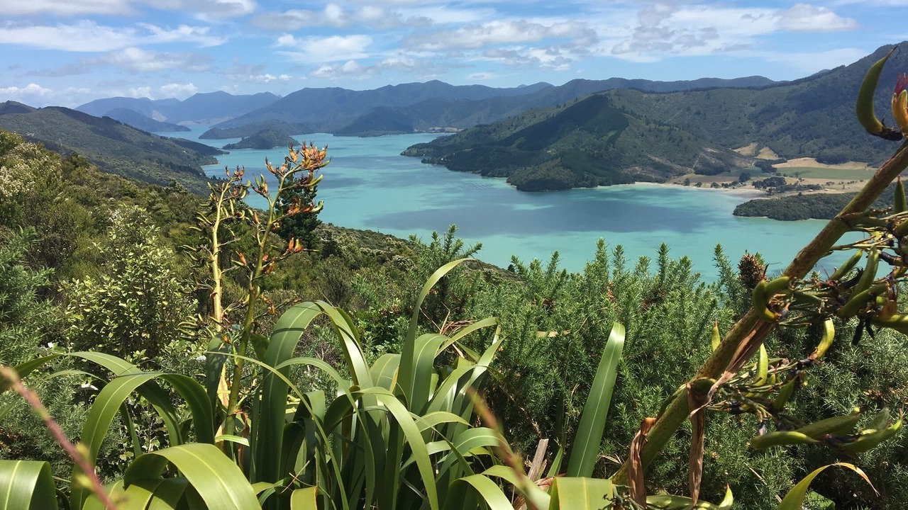 Photo of Others in Kenepuru Head