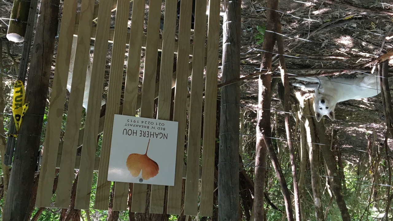 Photo of Outdoor in Kenepuru Head