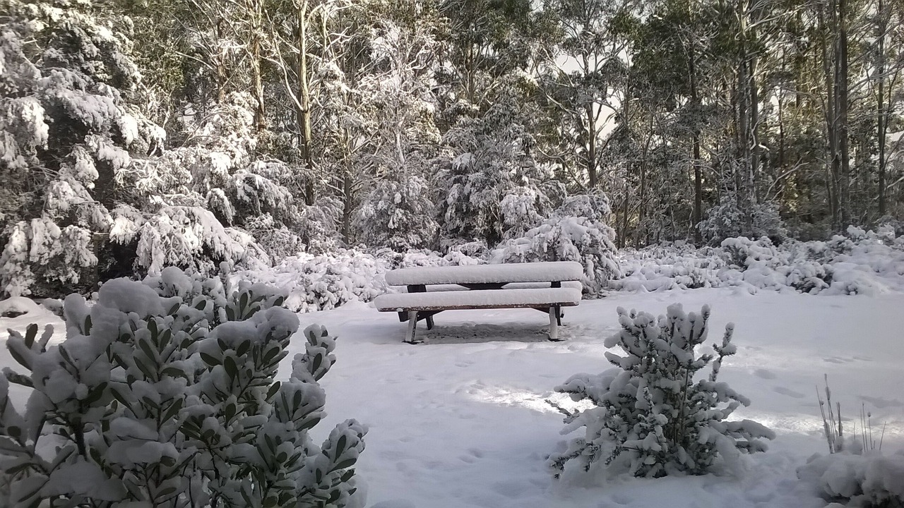 Photo of Outdoor in Cradle Mountain