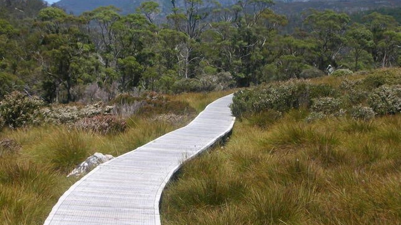 Photo of Outdoor in Cradle Mountain