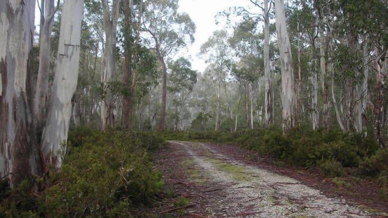 Photo of Outdoor in Cradle Mountain