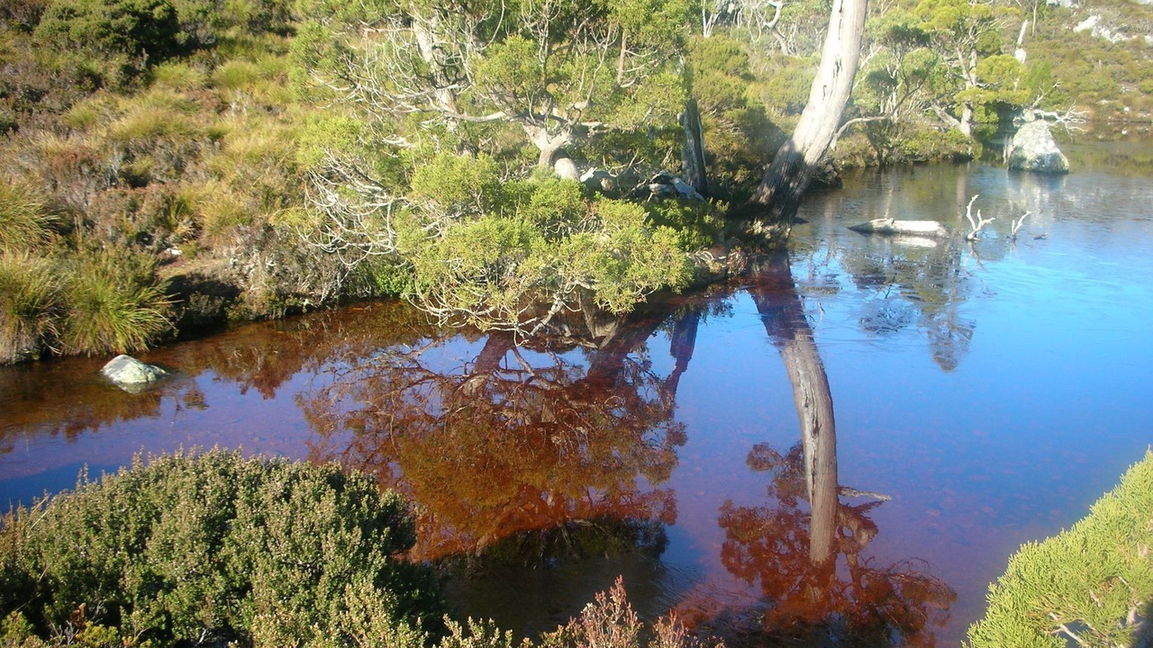 Photo of Outdoor in Cradle Mountain